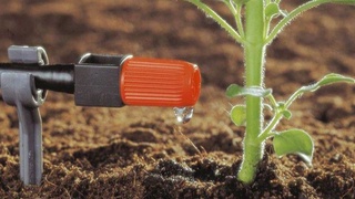 Капельное орошение: от осторожного скептицизма до профессионального «да»