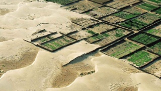 17 июня – Всемирный день борьбы с опустыниванием и засухой