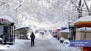 Бугун ҳарорат 2-4 даража илиқ бўлади — Ўзгидромет