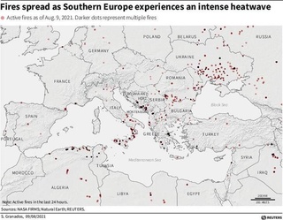 Aljir o'rmonlari yonmoqda