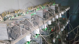 Тошкент вилоятида 16,5 млрд сўмлик электрни ўмарган майнинг фермалар фош қилинди