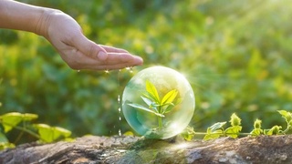 В Узбекистане принят Закон «О защите растений»