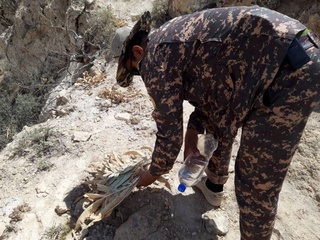 Сурхондарёда 81 та каврак ўсимлиги кесилди. Зарар миқдори  — 40 млн 95 минг сўм