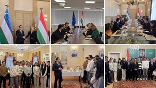 Венгрия имконияти сода кардани расмиёти додани раводидро барои муҳоҷирони меҳнатии ӯзбек меомӯзад