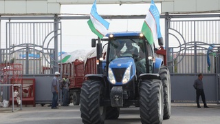 Навоийда пахта йиғим-терими бошланди