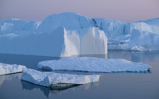 Гренландия шимолидаги денгиз музликлари 45 йил ичида 35 фоизга қисқарди – олимлар