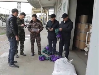 Выявлен факт незаконного ввоза рыболовных сетей в Узбекистан