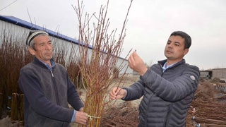 Научно-практический центр в поддержку владельцев земельных участков