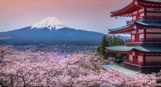 The number of Uzbek citizens who visited Japan increased by 72%