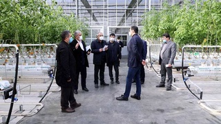 Ведётся активная работа по стимулированию социально-экономического развития Бухарской области