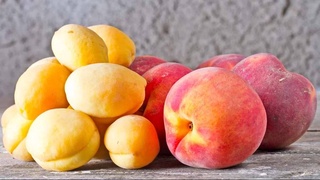 Почему фермеры Ферганской долины Узбекистана «переключаются» с абрикоса на персик?