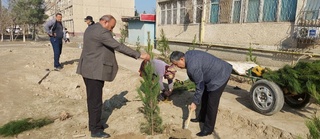 Дарахт экиш ўзбек оиласининг қадрияти