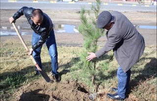 “Маҳалла” фонди “Яшил макон” лойиҳасида фаол иштирок этмоқда