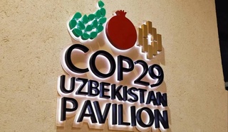 Uzbek yard as an example of eco-culture: What will Uzbekistan present at COMP 29?
