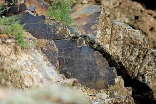 Раскрыта нелегальная разработка золота в ущелье Сармышсай