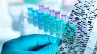 ДНК экспертизасининг нархи қанча?