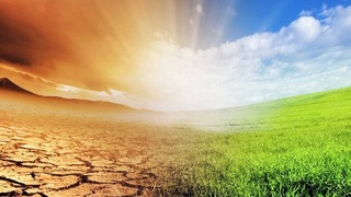 Ученые предсказывают рекордную жару и засуху в 2024 году из-за усиления Эль-Ниньо