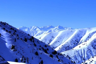 Ertaga kutilayotgan ob-havo maʼlumoti eʼlon qilindi