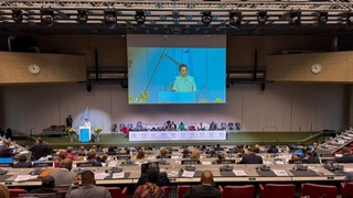 Өзбекстан жәҳән парламентаризминиң орайына айланады