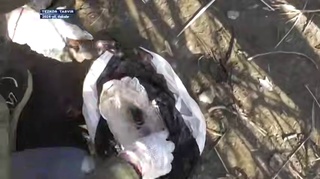 Tojikistondan Oʻzbekistonga 16 kilo giyohvandlik vositasi keltirgan shaxs 15-yilga qamaldi