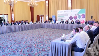 ФАО будет развивать в Узбекистане «зеленое» производство черешни