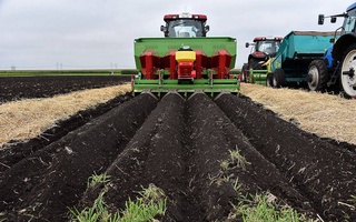 Беларусь заинтересована в поставках торфяных субстратов в Узбекистан