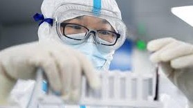 Коронавирус 2012 йилда тарқалиши мумкин эди