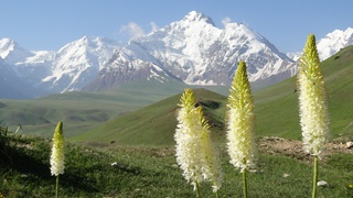 Dam olish kunlari respublika hududi boʻyicha quruq va iliq ob-havo saqlanib turadi