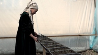 Мақсет – кәмбағал шаңарақларға дәрамат табыў бағдарларын үйретиў