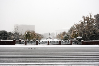 Тошкентда биринчи қор манзаралари