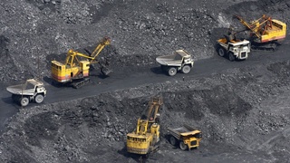 Навоийдаги 31 битта кон хитойликларга сотилгани рад этилди