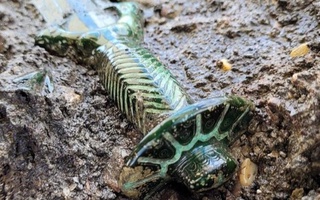 Германияда эрамиздан аввалги XIV асрга оид бронзадан ясалган қилич топилди