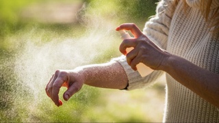 Eng samarali chivin spreyi ishlab chiqildi