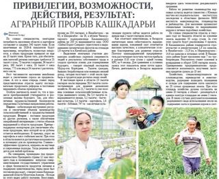 Привилегии, возможности, действия, результат: аграрный прорыв Кашкадарьи