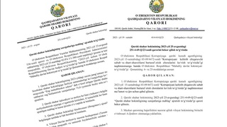 Ўзини  рағбатлантирган ҳокимнинг қарори нега бекор қилинди?