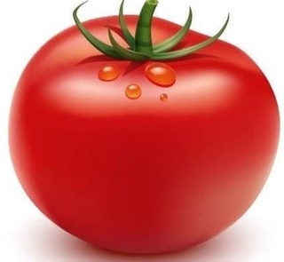 Oʻzbekiston 20,5 ming tonna pomidor eksport  qildi