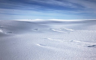 Ғарбий Антарктида музликларининг парчаланиб кетиши муқаррар – олимлар