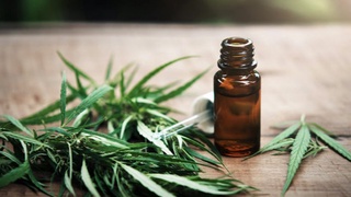 Каннабисдан олинган косметик воситалар ёрқин келажакни башорат қилмоқда