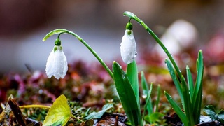 Прогноз погоды на 7 марта