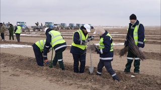 Молодежь Навоийского комбината вносит вклад в будущее Аральского моря