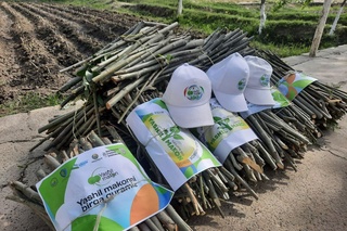 “Yashil makon”dagi qoʻshib yozishga aloqador 29 mansabdor javobgarliklikka tortildi