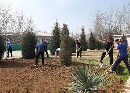 Sektorlarning samarali faoliyati – muammolarga yechim demakdir