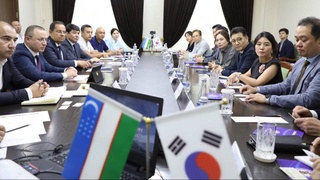 Узбекистан - Южная Корея: сотрудничество от кожевенно-обувной до горнодобывающей промышленностей