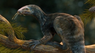 Бразилияда қадимги судралиб юрувчи ҳайвон қолдиқлари топилди