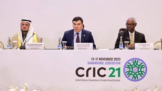 25% песчаных и пыльных бурь вызывает человеческая деятельность: в Самарканде обсудили нарастающую проблему ППБ