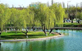 Прогноз погоды на 5 июня