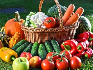 Uzbekistan intends to increase agricultural yields