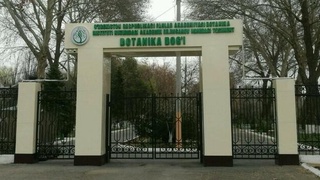 Тошкент Ботаника боғи вақтинча ёпилди