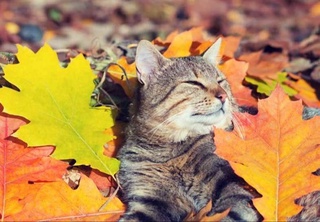 September continues to delight with summer warmth: residents of Uzbekistan are waiting for a hot weekend up to +34 degrees