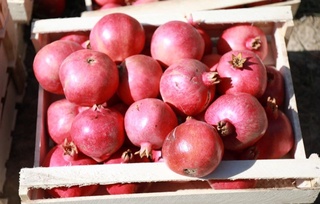 Анор Фарғонанинг хориждаги брендларидан бирига айланмоқда